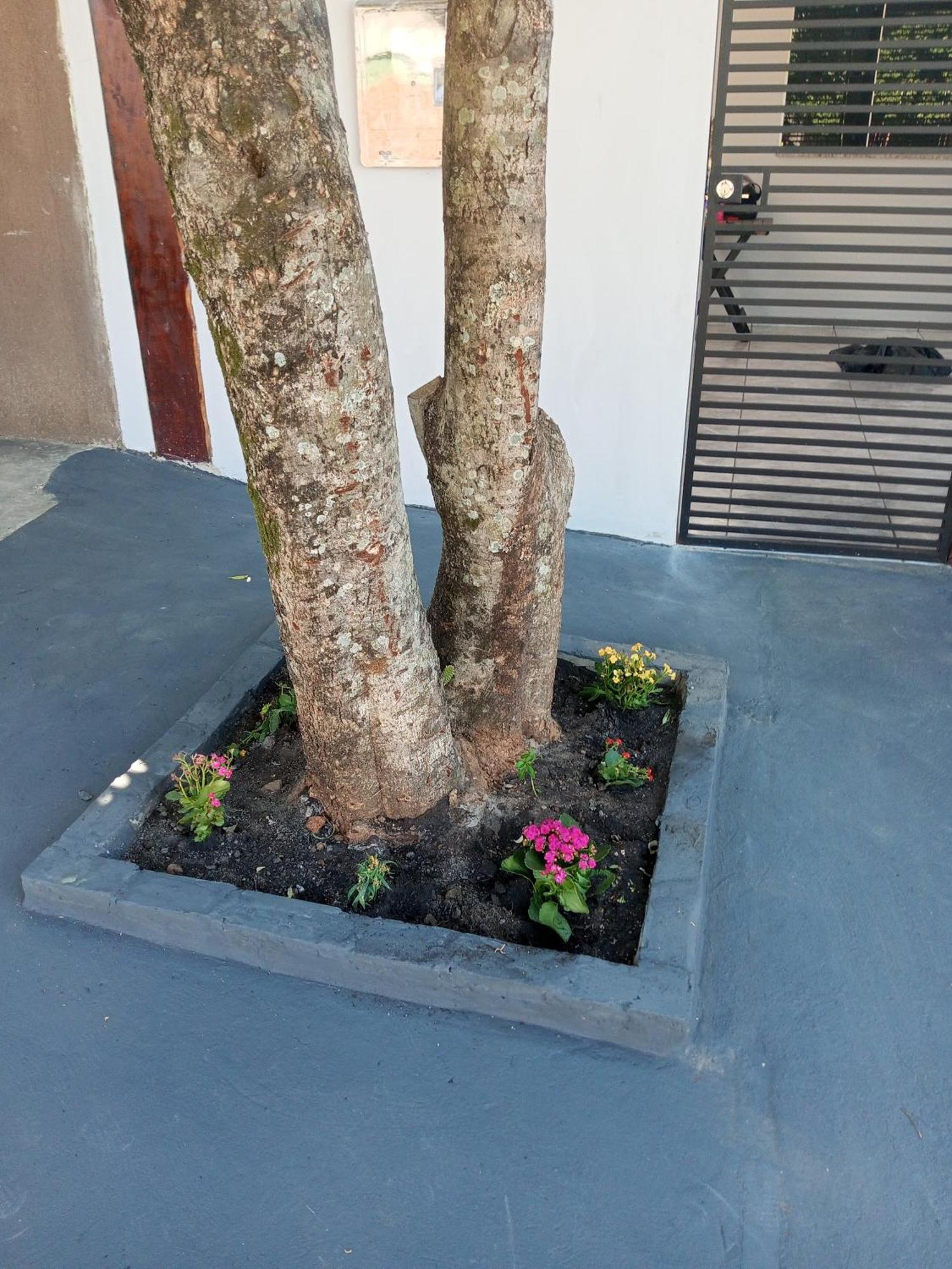 Casa Luna Da Boa Vista Bonito  Exterior foto